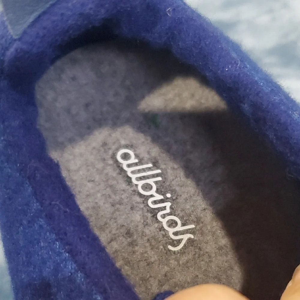 allbirds stylish blue